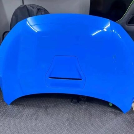 Hood civic 2015 to 2020 ( type r ) 1w